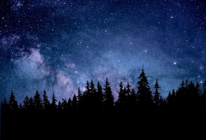 Constellation Celebrations