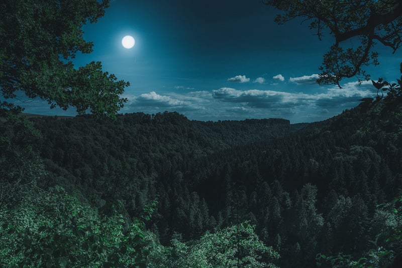 Full Moon Festivities